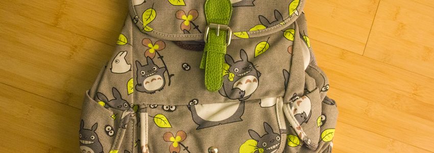 The best store to collect the Totoro bags at an affordable price