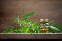 What is the essential of using cbd oil?