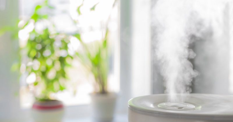 10 Good Reasons To Avail A Humidifier For Your Home Now