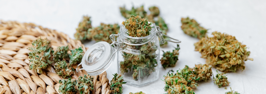  Cbd flowers – a potent therapeutic
