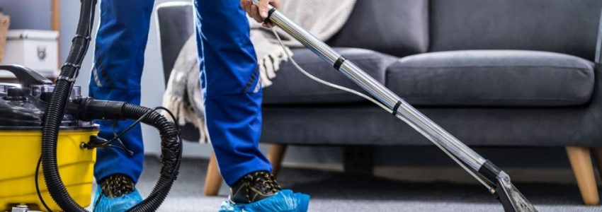Why should opt for carpet cleaning?