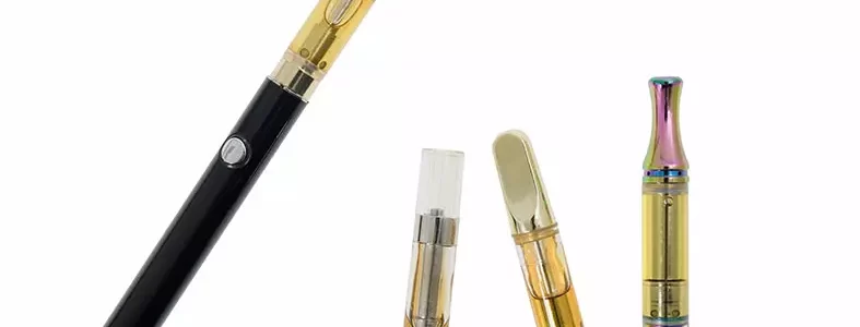 What is the difference between a disposable and rechargeable THC Vape Pen?
