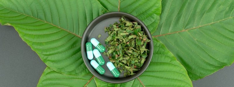 The Hidden Truth: Deciphering the Intricacies of Kratom
